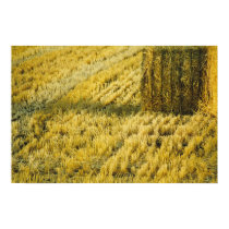 Wheat Field posters