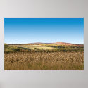 Wheat Field posters