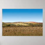 Wheat Field Print