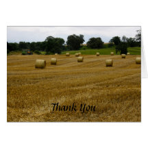 Wheat Field  Thank You Card