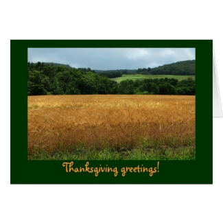 Wheat Field Thanksgiving