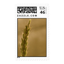 Wheat Harvest Stamps