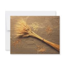 Wheat invitations by GPArkive Wheat invitations