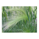 wheat