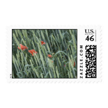 wheat stripes_1 postage stamp