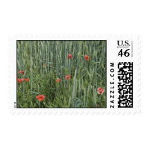 wheat stripes stamp
