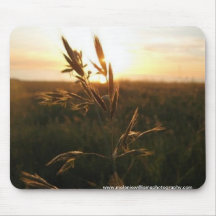Wheat sunset pad mouse pad