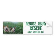 Wheatdogs Bumper Stickers