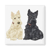 Wheaten and Black Scottish Terriers Fridge Magnet