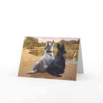 Wheaten & Black Scottish Terriers Greeting Card
