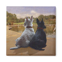 Wheaten & Black Scottish Terriers Fridge Magnet