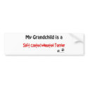 Wheaten Grandchild bumper stickers