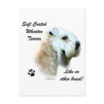Wheaten Like No Other Breed postcards by GreyWolfCreation Wheaten Like No Other Breed postcards