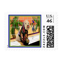 Wheaten Terrier: "At the Spa" postage by wheatenterrier Wheaten Terrier: "At the Spa" postage