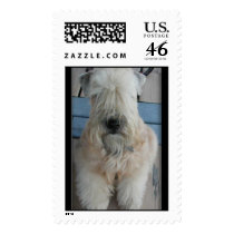 Wheaten Terrier postage