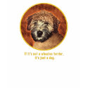 Wheaten Terrier Puppy Face t-shirts
