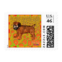 Wheaten Terrier Puppy in Garden postage