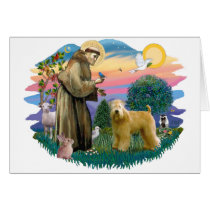 Wheaten  Terrier (standing) cards