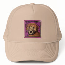 WHEATEN TERRIER: WET PUPPY hats by wheatenterrier WHEATEN TERRIER: WET PUPPY hats
