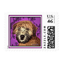 Wheaten Terrier: "Wet Puppy" Postage postage by wheatenterrier Wheaten Terrier: "Wet Puppy" Postage postage