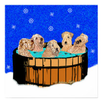 WHEATEN TERRIERS IN HOT TUB posters