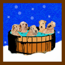 WHEATEN TERRIERS IN HOT TUB posters