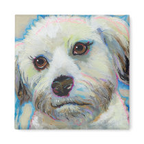 Wheatens Understand Irony fun colorful dog art magnets