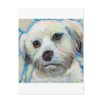 Wheatens Understand Irony fun colorful dog art postcards