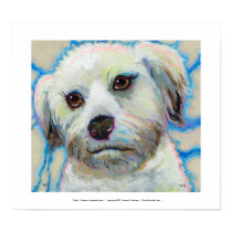 Wheatens Understand Irony fun colorful dog art posters