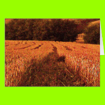Wheatfields1 cards