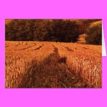 Wheatfields1 cards