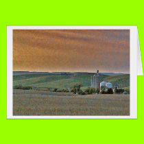 Wheatfields cards