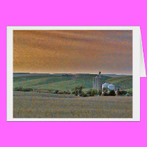 Wheatfields cards