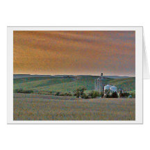 Wheatfields Greeting Cards