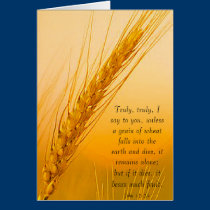 WheatSun cards