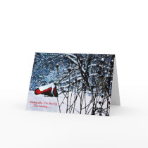 Wheel Buried Cards