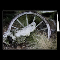 Wheel cards