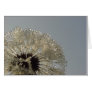 Wheel of droplets - Dandelion with droplets Card