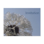 Wheel of droplets Invitation Postcards