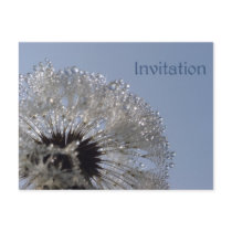 Wheel of droplets Invitation postcards by Rainmountain Wheel of droplets Invitation postcards