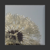 Wheel of droplets magnets