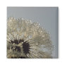 Wheel of droplets fridge magnets