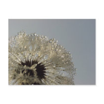 Wheel of droplets postcards by Rainmountain Wheel of droplets postcards