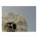 Wheel of droplets posters by Rainmountain Wheel of droplets posters