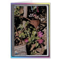Wheel Resting on Arbor cards