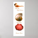 Whelk Left Turn,  Nautilus, Lions Paw posters