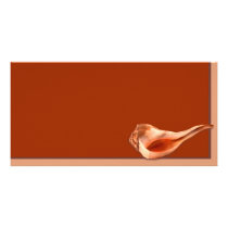 Whelk Left Turn Personalized Photo Card
