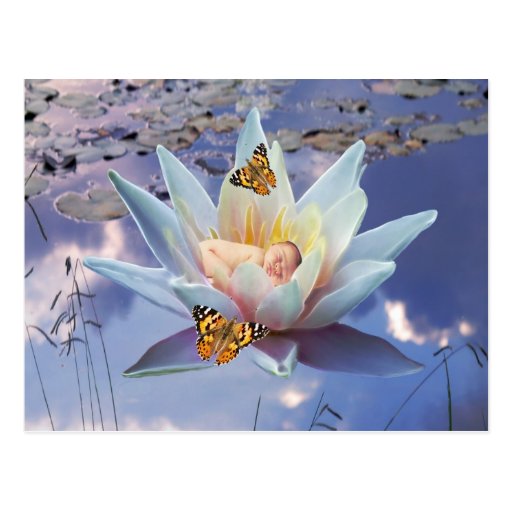 When a little baby goes to sleep post cards