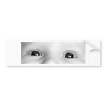 When Birds Attack Helmet Sticker - Baby Eyes bumper stickers by be1withlee When Birds Attack Helmet Sticker - Baby Eyes bumper stickers
