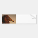 When Black turns Gold Bumper Stickers